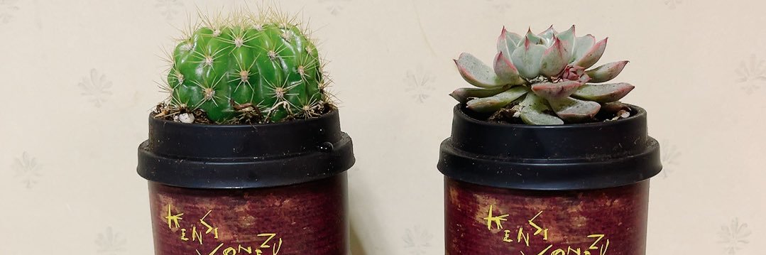 kiyomiShellEY's profile banner image