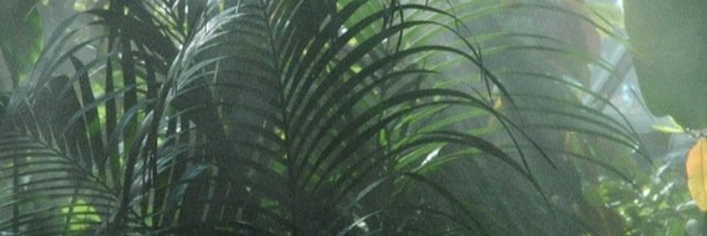kyle le daron banner