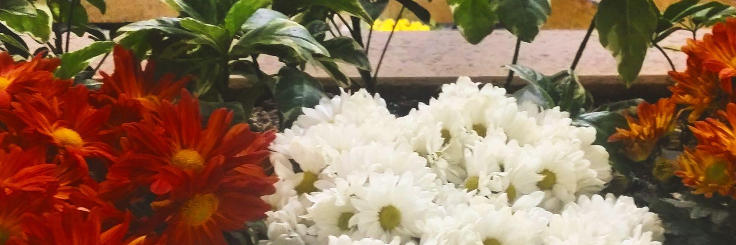 على ذاك الطريق banner