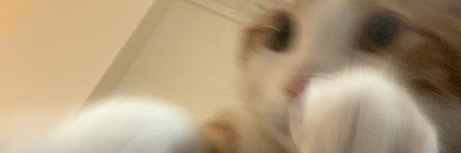 ceIune's profile banner image
