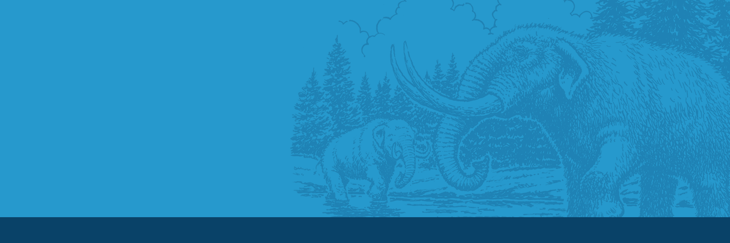 ConwayMastodon's profile banner image