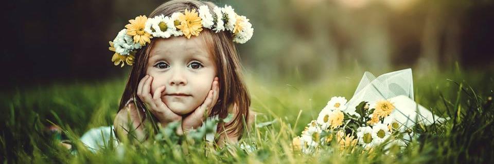 sema_edep's profile banner image