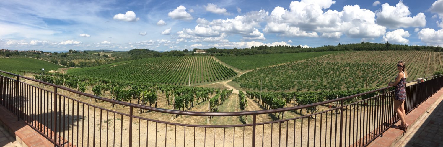 Hakon DeVries banner