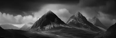 فاطمهہ هاشمی banner