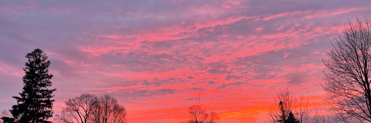 BridgetSMurphy's profile banner image