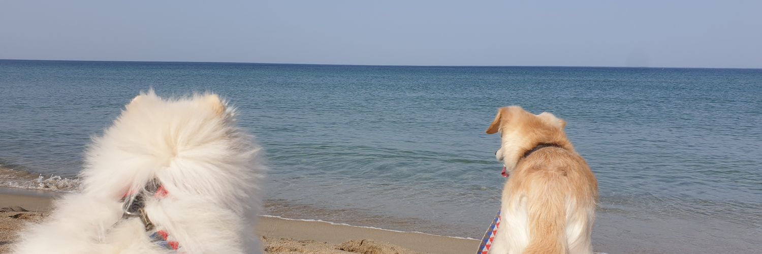 오미자th리 banner