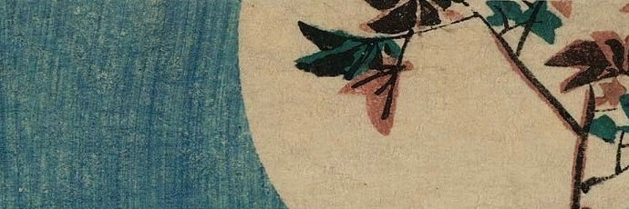 Echo Owl's banner