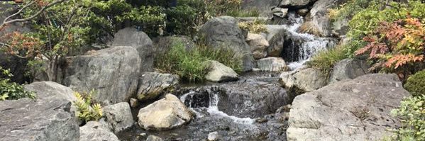 Stephen Hu, MD MPH banner