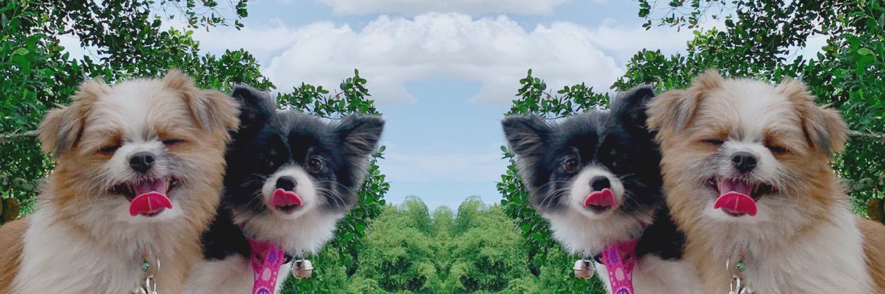 UsA_Nueng's profile banner image