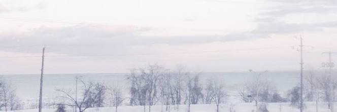 ladyjungg's profile banner image