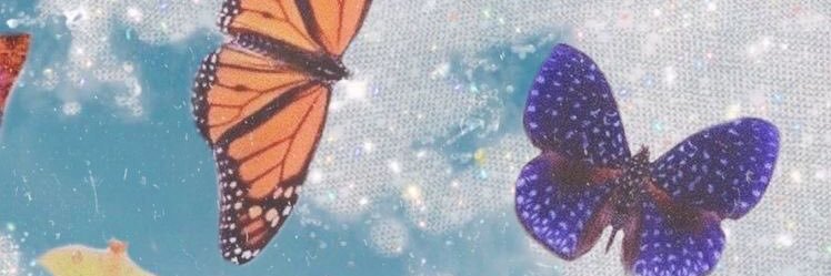 lulimoreno___'s profile banner image