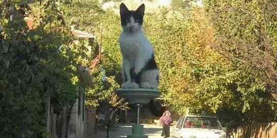 Ümüt Şahin banner