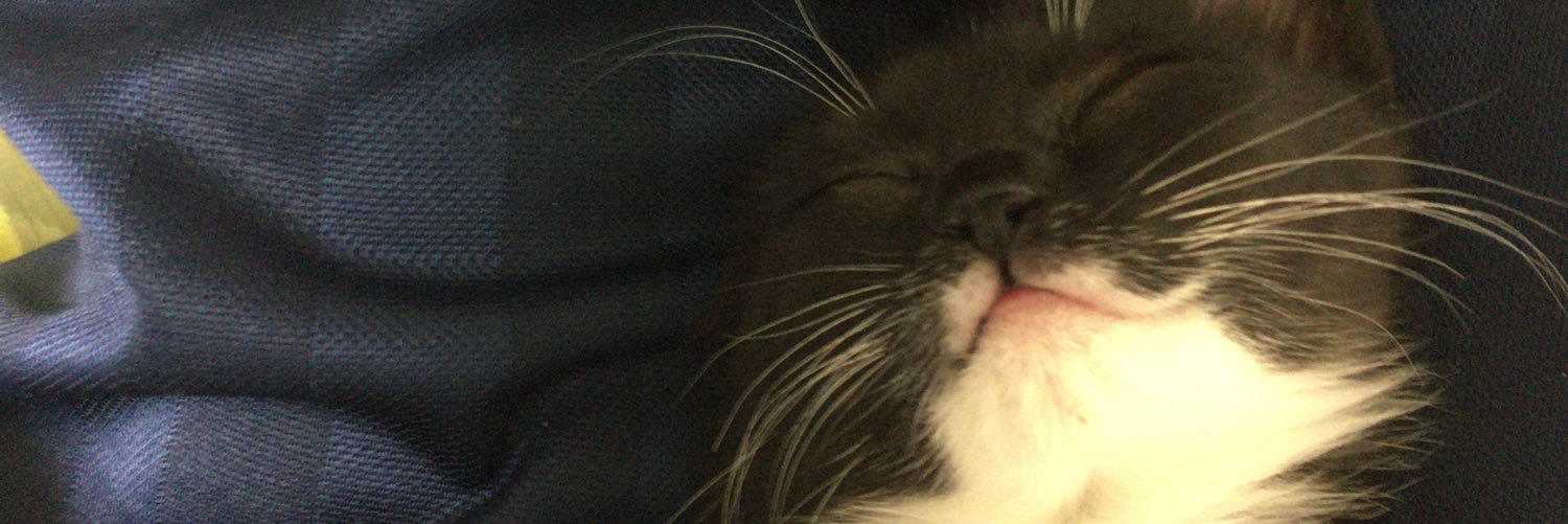 trbooooo_mimi's profile banner image