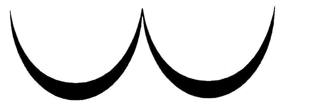 The___Butt's profile banner image