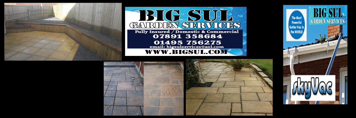 BigSul Services banner
