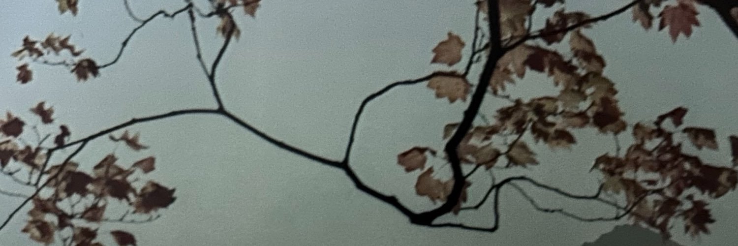 UilEhziur's profile banner image