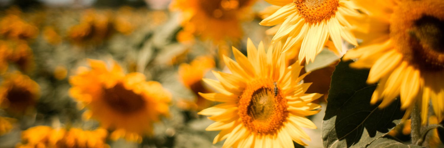 LouiseFraser78's profile banner image