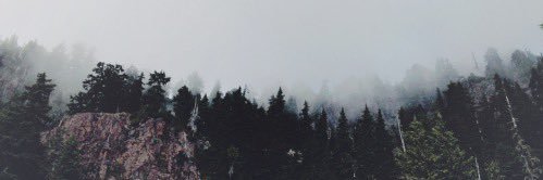 moonlesslsg's profile banner image