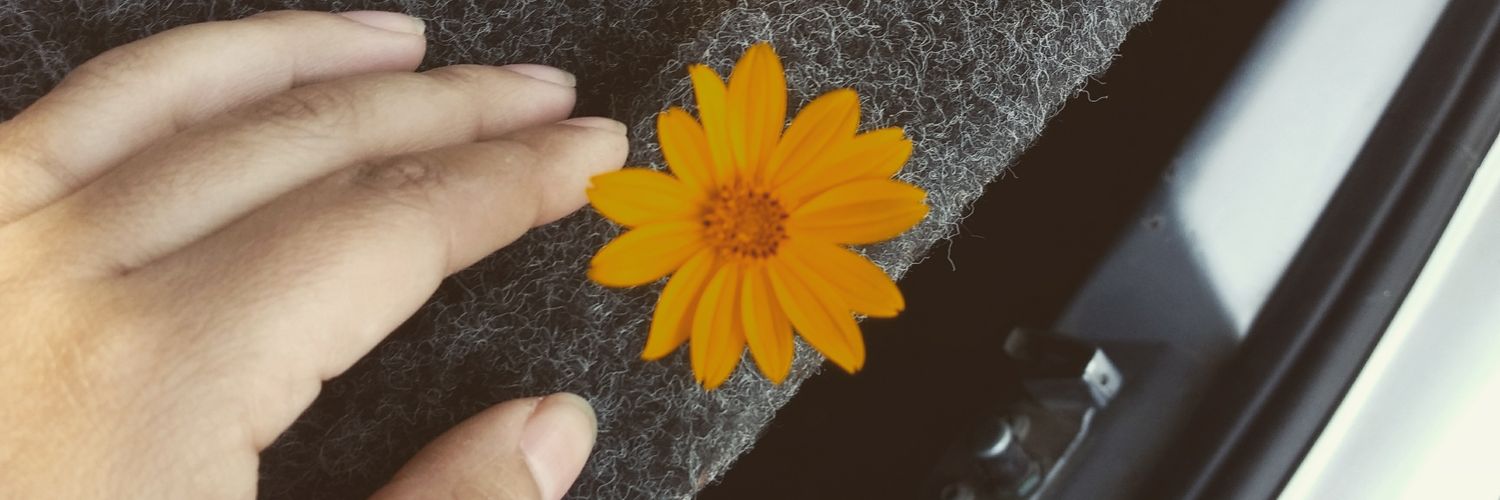 _yssek's profile banner image