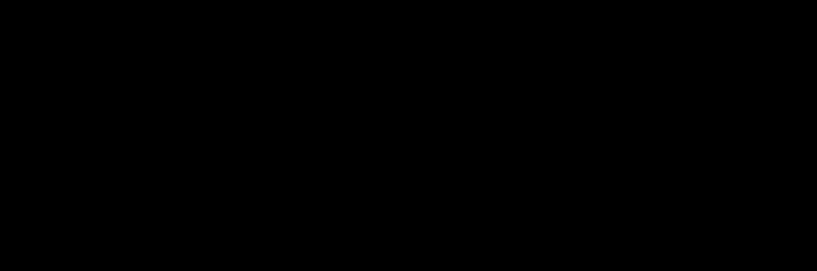 Sami banner