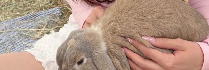 reilla banner