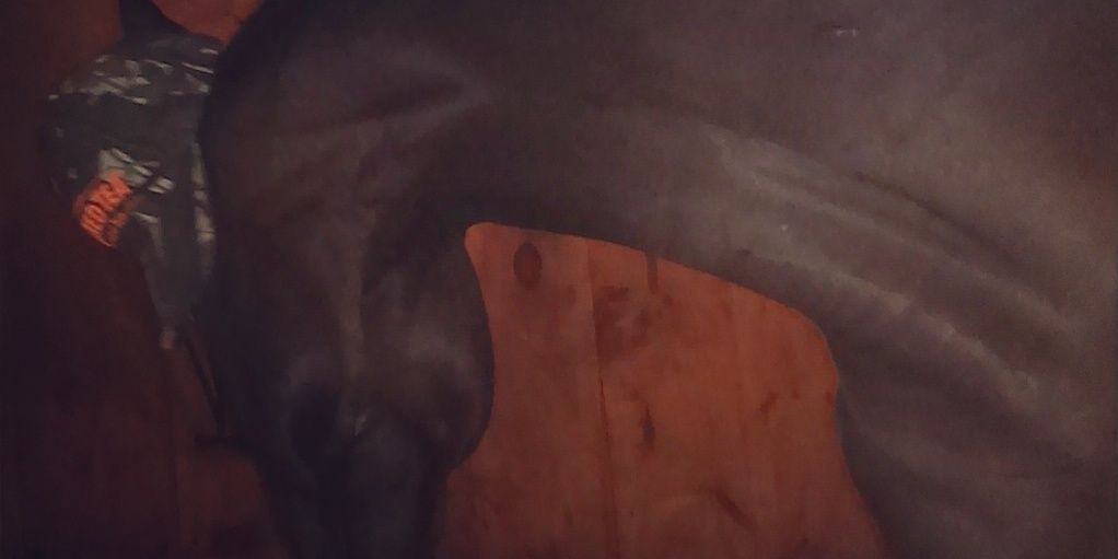 ottbluver's profile banner image