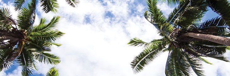 IhsancanA's profile banner image