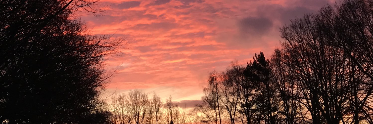 FrewXFrew's profile banner image
