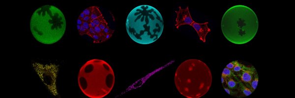 MolCellBiophys Profile Banner