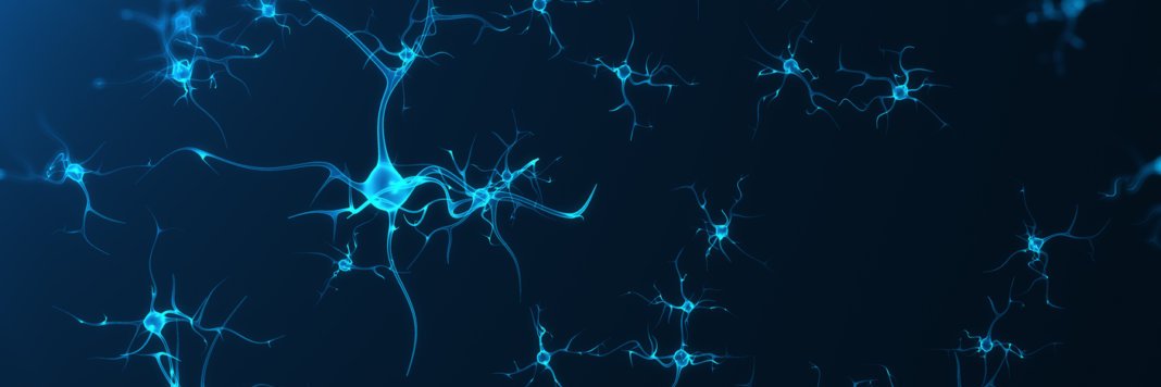 NeuroFirenze's profile banner image