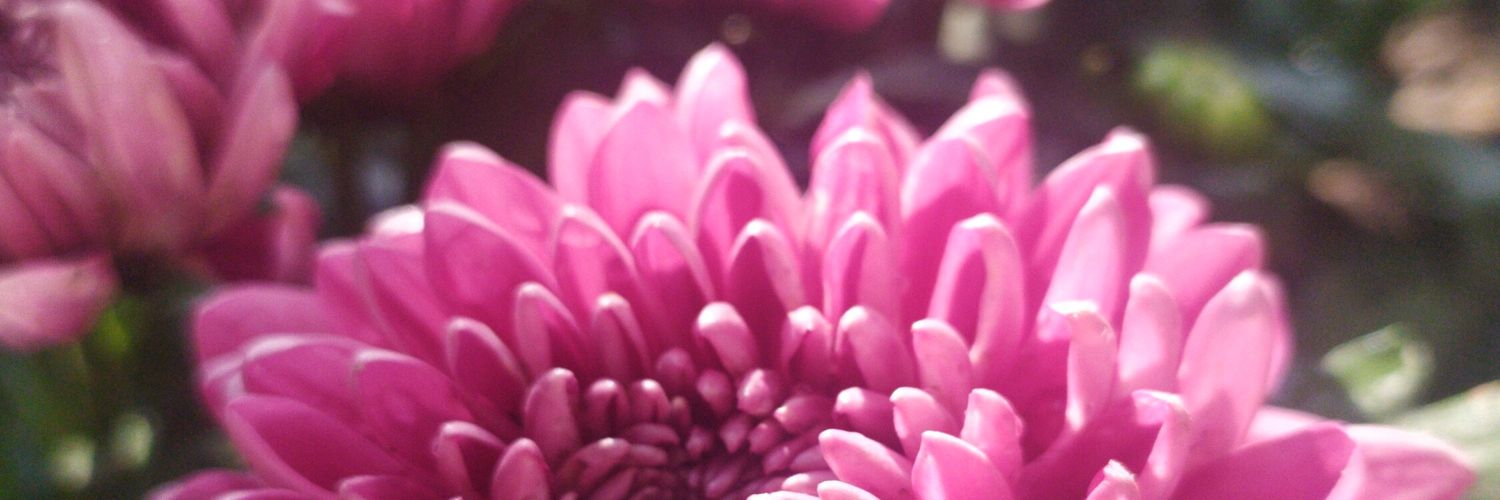 firdaus5551's profile banner image