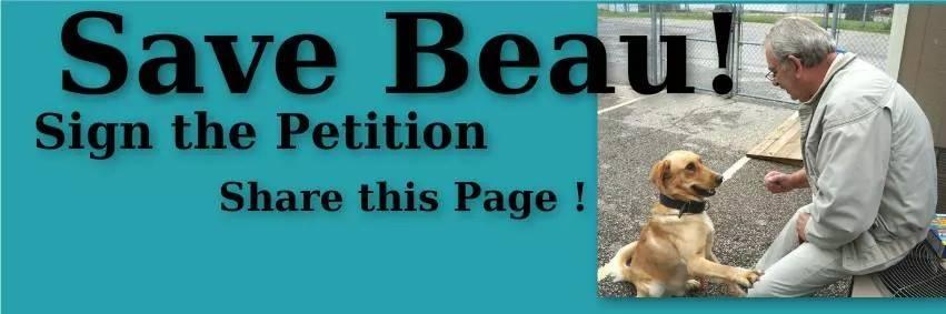 Pleasehelpbeau's profile banner image