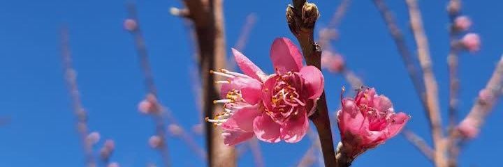 parpari9265's profile banner image