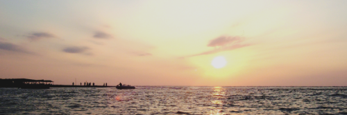 CaraRPGPR's profile banner image
