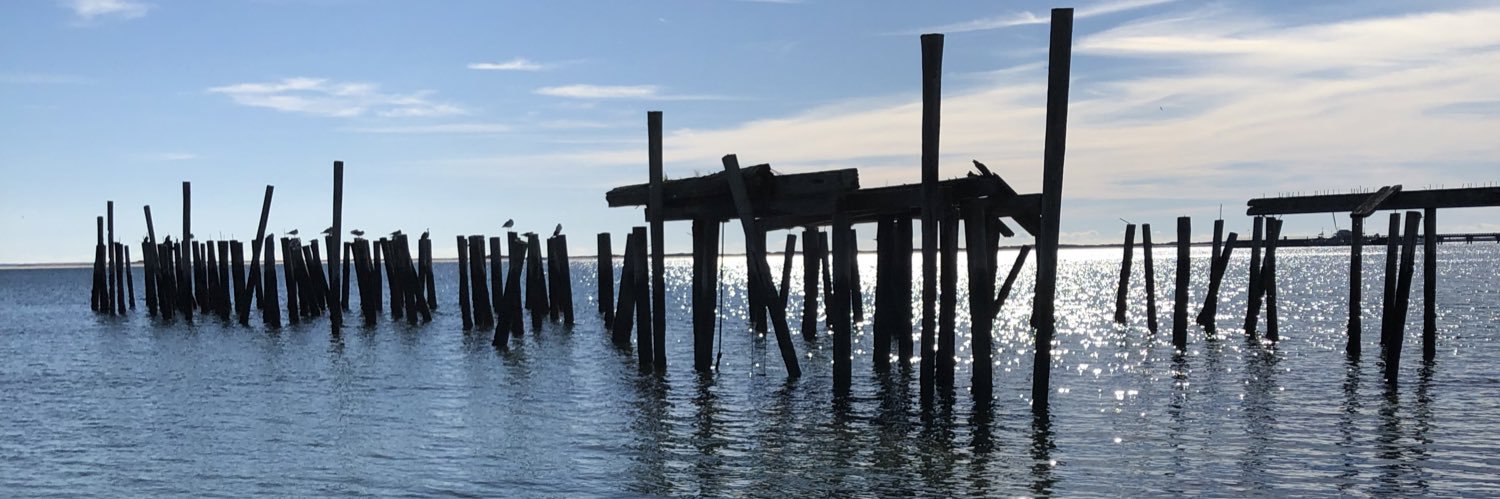 Caroline Bonacossa banner