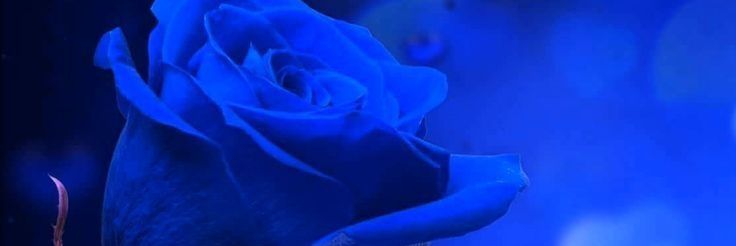 kuma102612's profile banner image