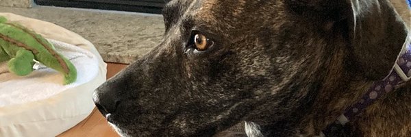 john_islesfan Profile Banner