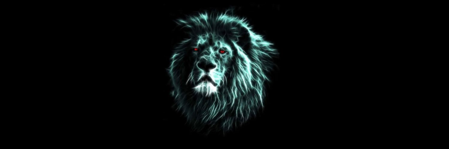 leoxN6's profile banner image
