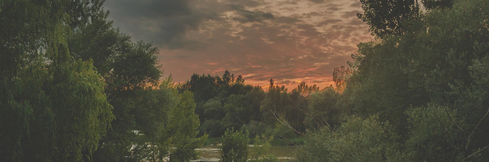 trizyjuan's profile banner image