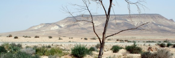 juankhalaf's profile banner image
