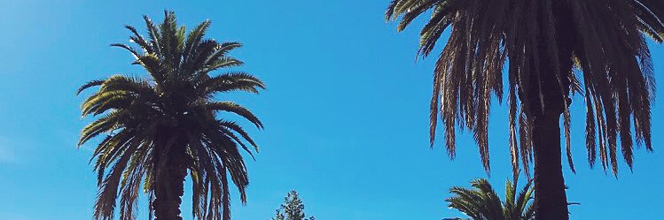 kayseysmith's profile banner image
