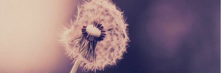 ouTsid_e's profile banner image