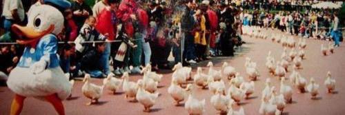 ChicaIsNotADuck's profile banner image