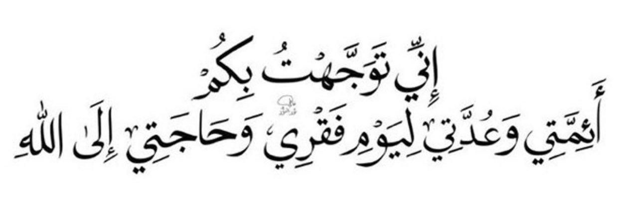 Ali 313 banner