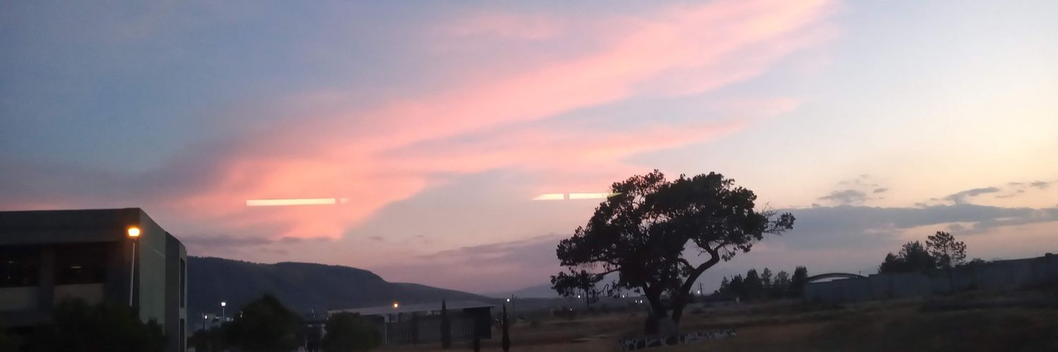 Alegarvar's profile banner image