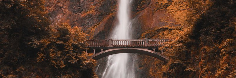 divi2983's profile banner image