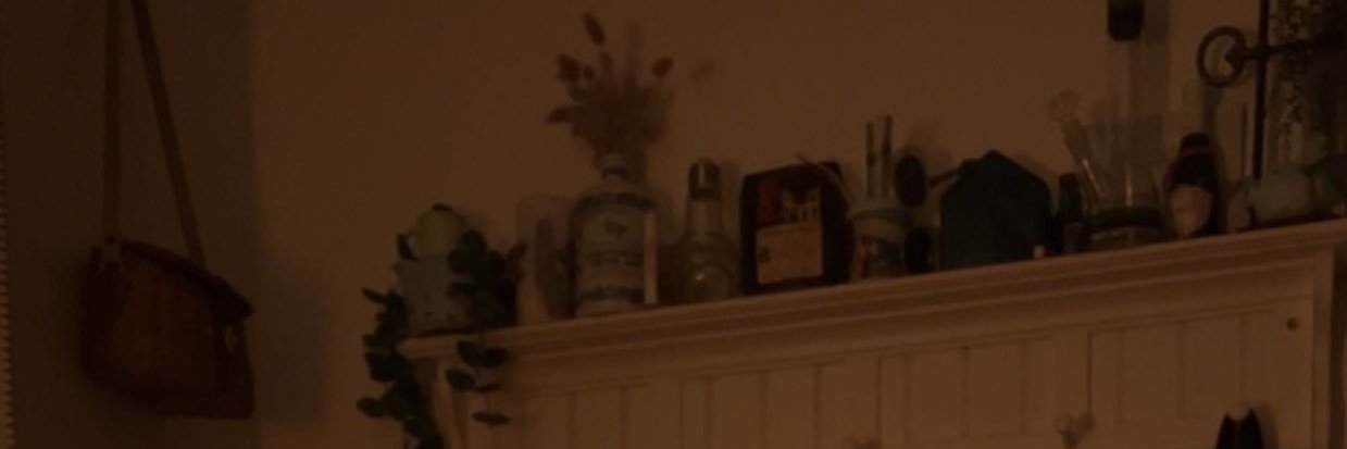 nikkidotti's profile banner image