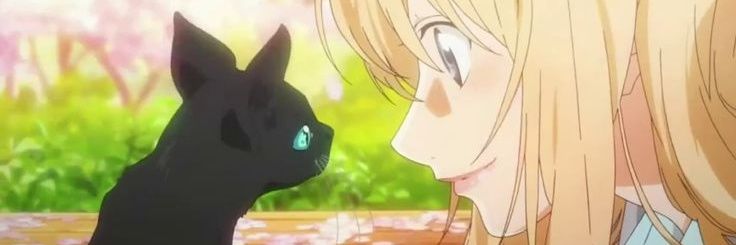 Muziplik Tamamlandı banner