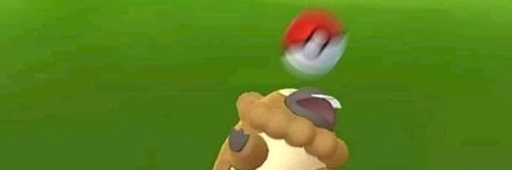 daispuro00's profile banner image