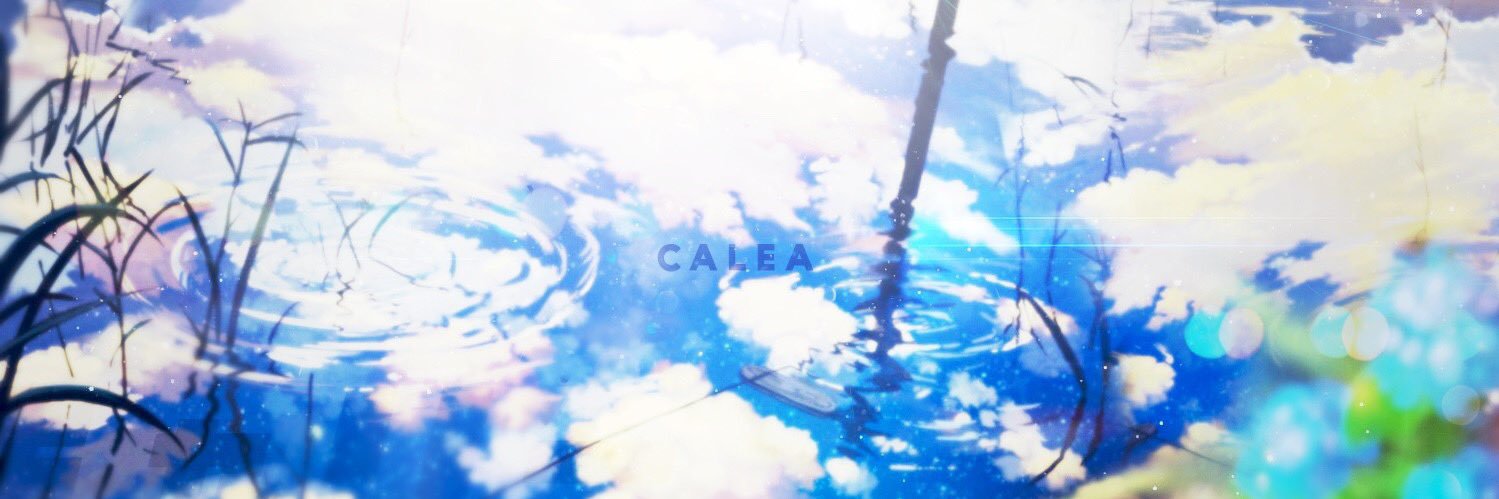 きゃりー banner